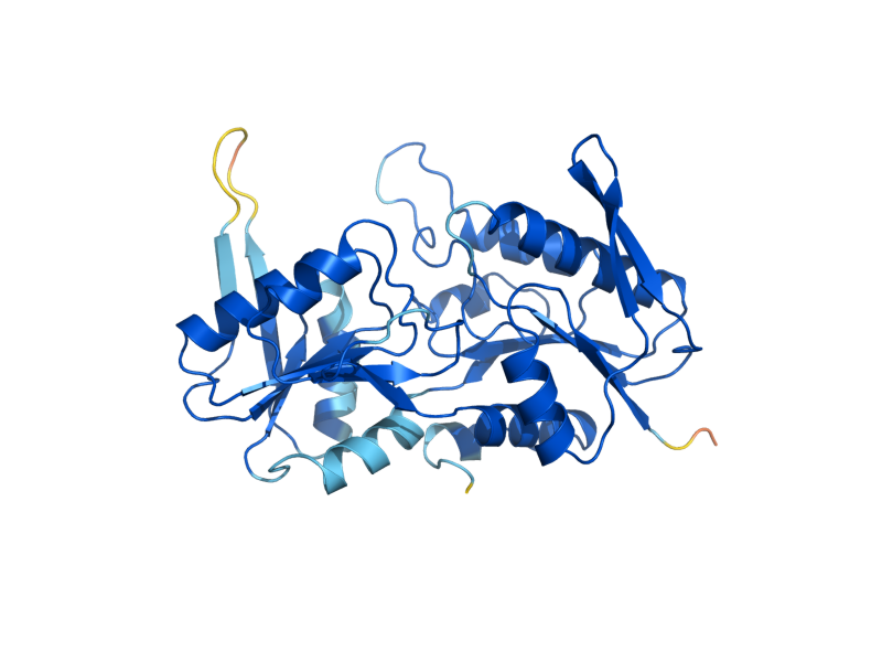 AlphaFold predicted structure of PRS2