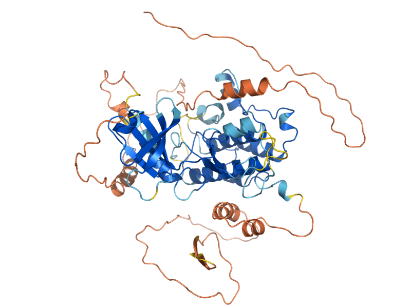 AlphaFold predicted structure of RCK1