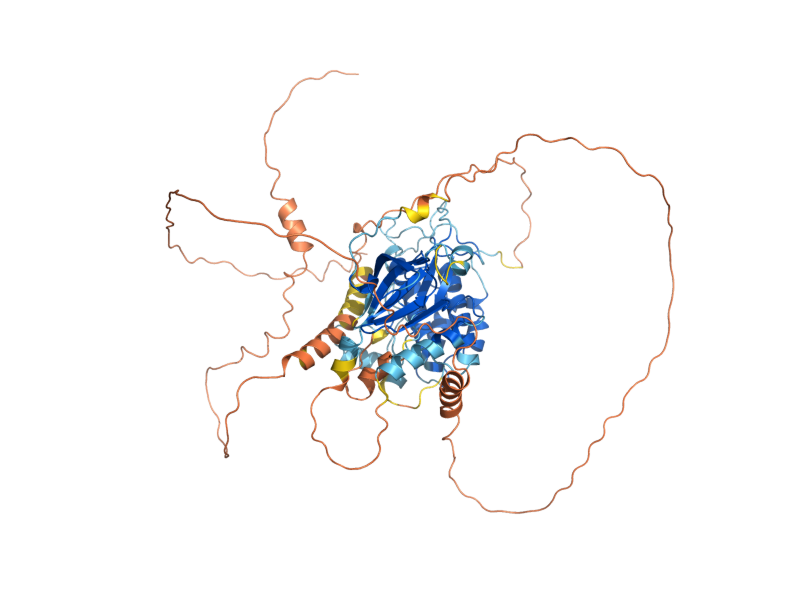 AlphaFold predicted structure of RCK2