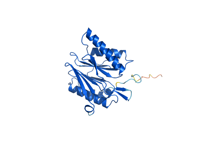 AlphaFold predicted structure of PRE3