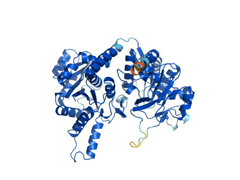 AlphaFold predicted structure of URA8