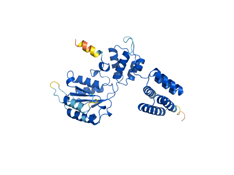 AlphaFold predicted structure of RFC3