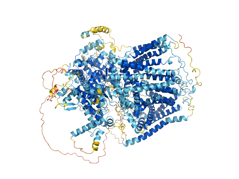 AlphaFold predicted structure of FKS1