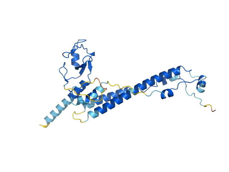 AlphaFold predicted structure of MMS21
