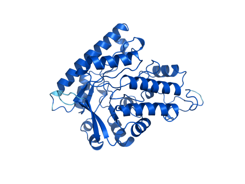 AlphaFold predicted structure of HIS2