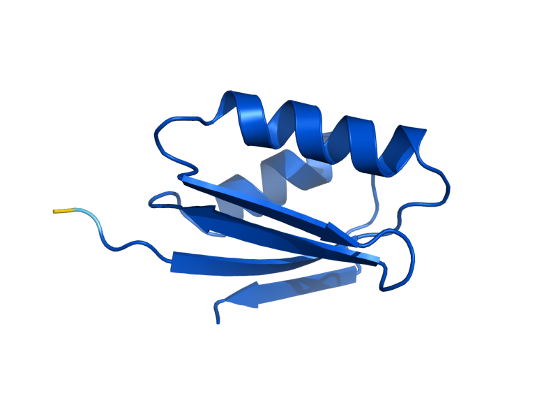 AlphaFold predicted structure of ATX1