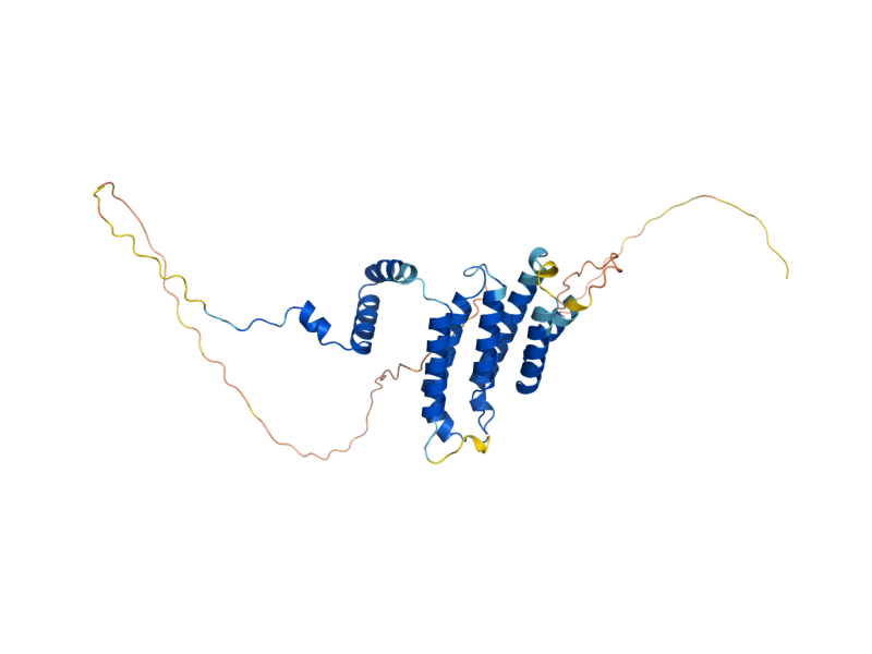 AlphaFold predicted structure of STS1