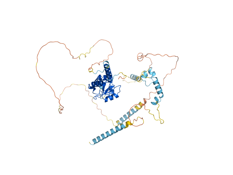 AlphaFold predicted structure of GLO3