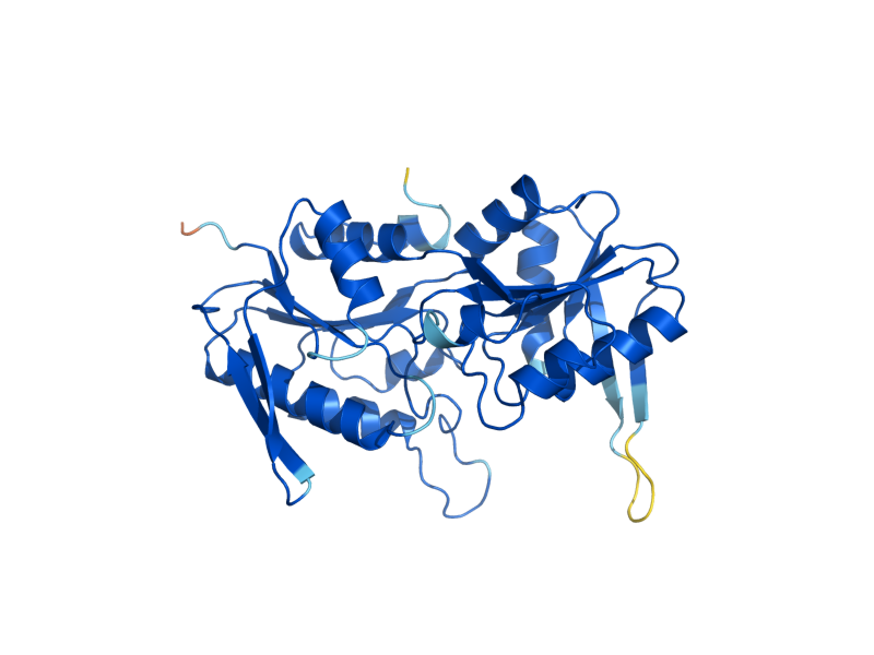 AlphaFold predicted structure of PRS3