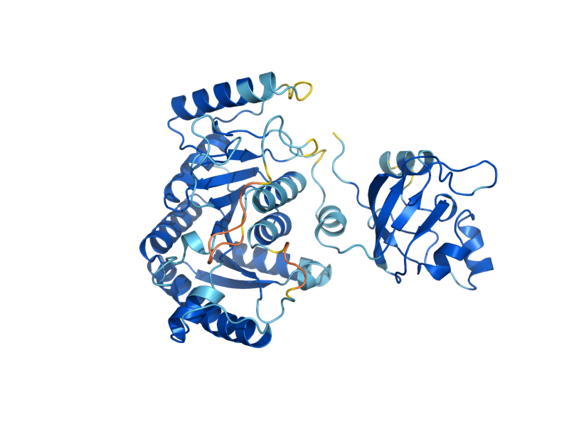 AlphaFold predicted structure of YHR033W