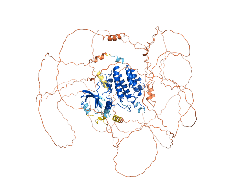 AlphaFold predicted structure of KSP1