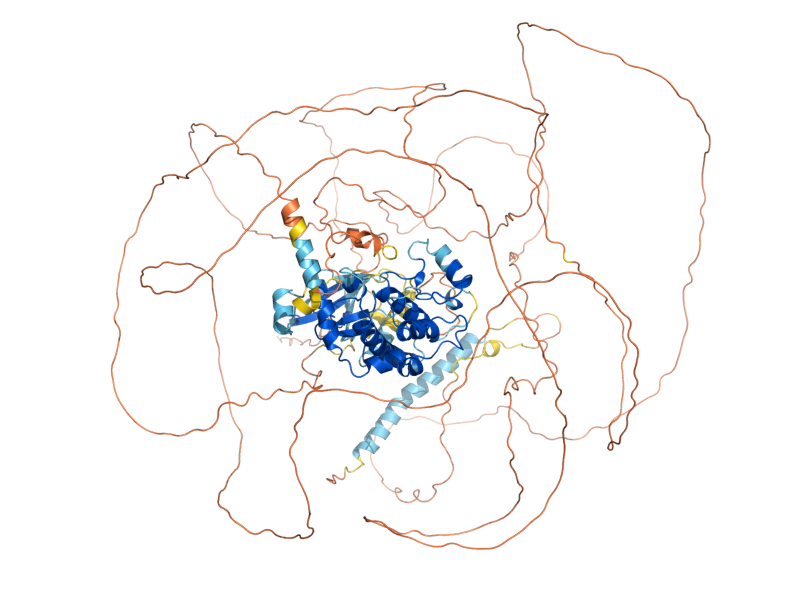 AlphaFold predicted structure of KIC1