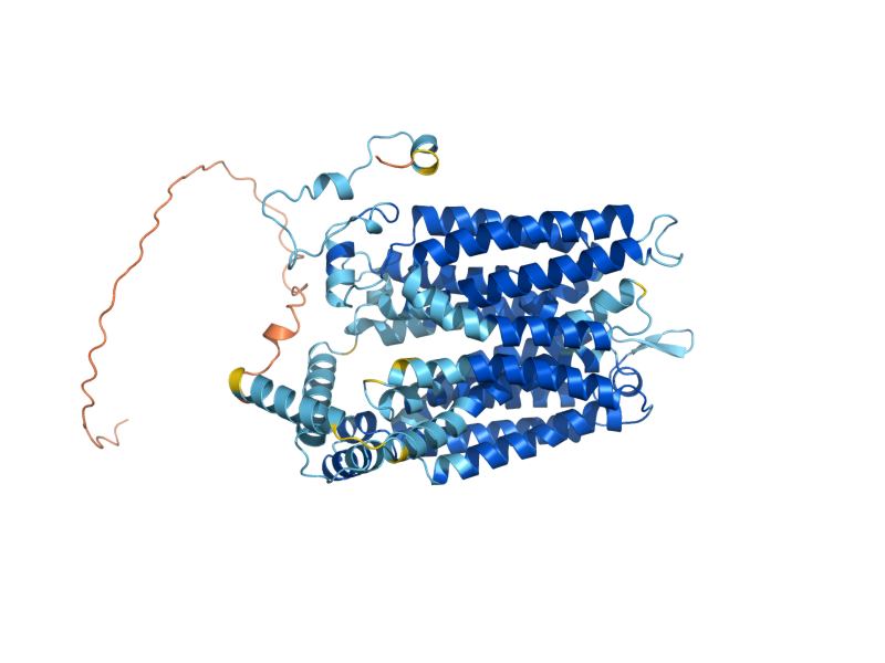 AlphaFold predicted structure of HXT5