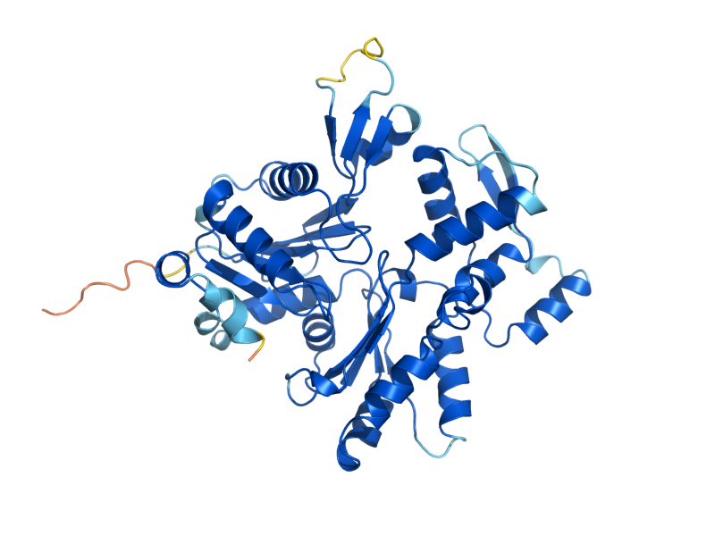 AlphaFold predicted structure of ARP1