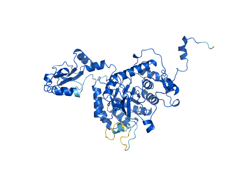 AlphaFold predicted structure of IMD2