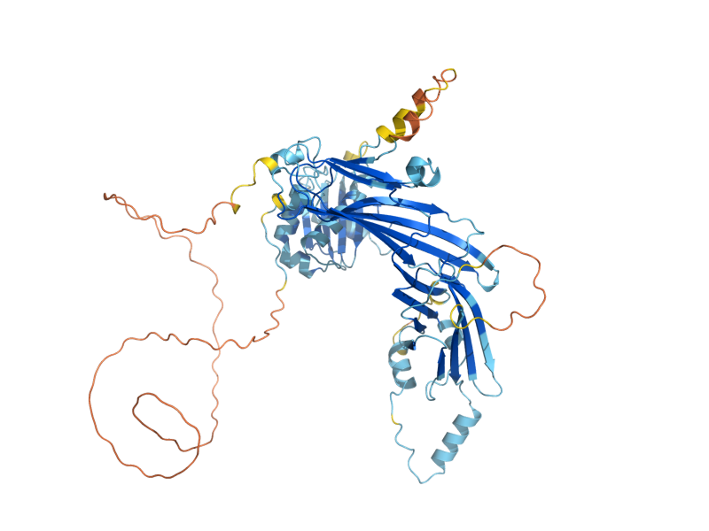 AlphaFold predicted structure of APM2