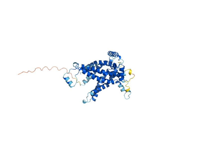 AlphaFold predicted structure of LEU5