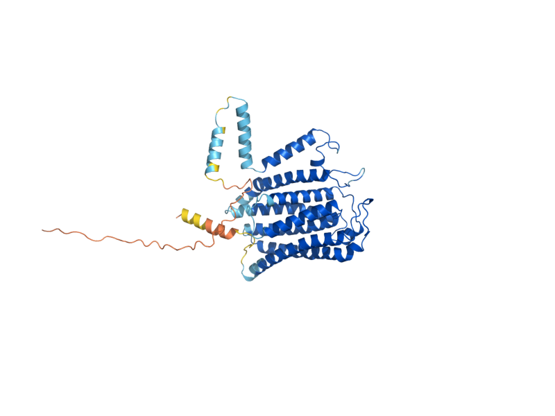 AlphaFold predicted structure of LAG1