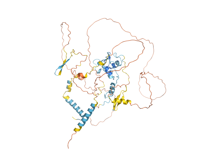 AlphaFold predicted structure of STP2