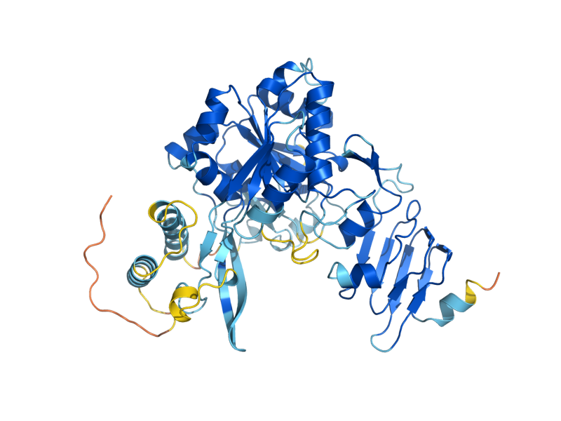 AlphaFold predicted structure of YHL012W