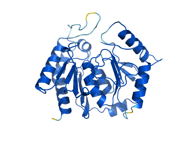 AlphaFold predicted structure of INM1