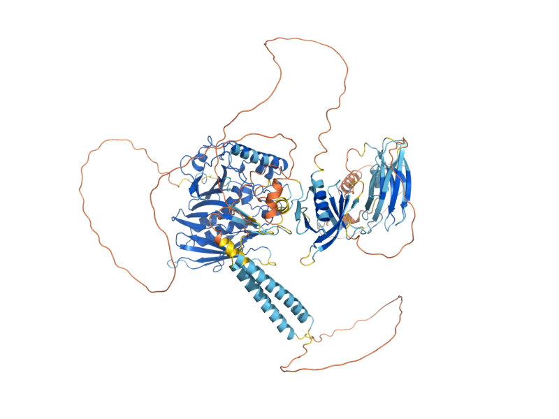 AlphaFold predicted structure of OSH3