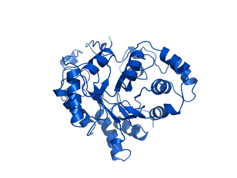 AlphaFold predicted structure of GRE3