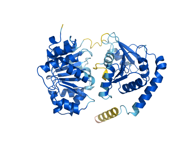 AlphaFold predicted structure of DBP8