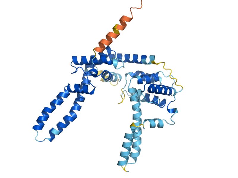AlphaFold predicted structure of COS8