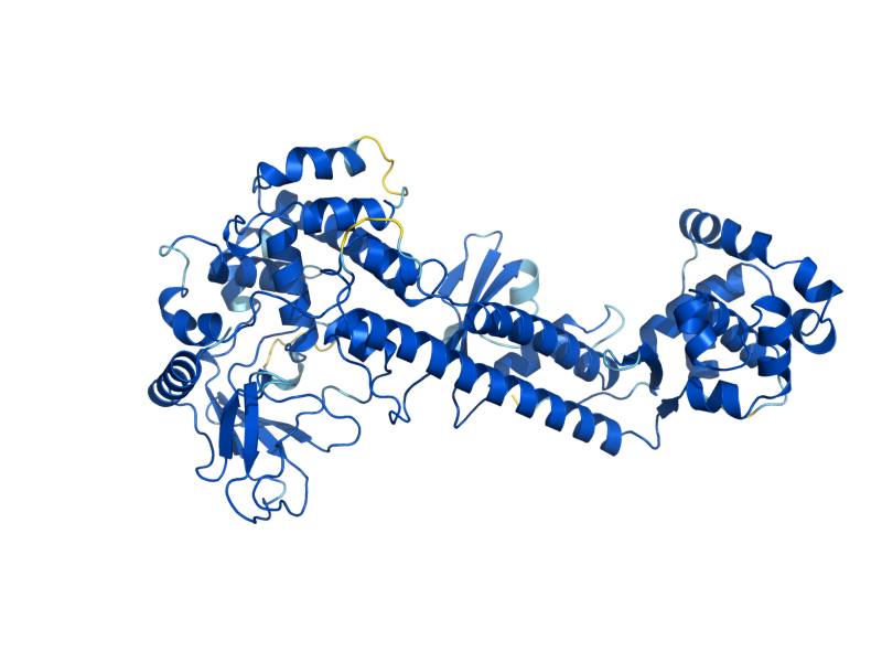 AlphaFold predicted structure of EFM1