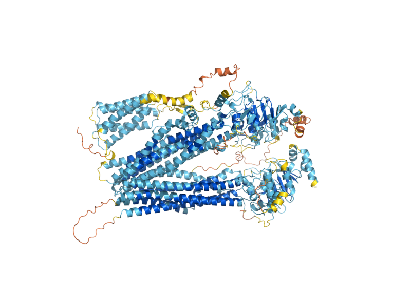 AlphaFold predicted structure of VMR1