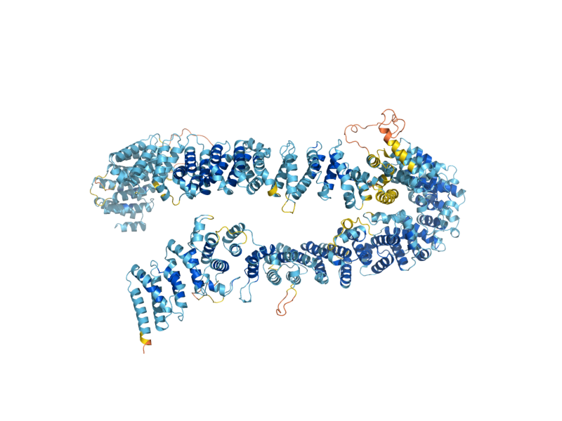 AlphaFold predicted structure of ECM29