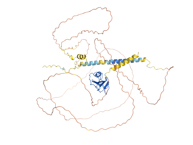AlphaFold predicted structure of WSC4