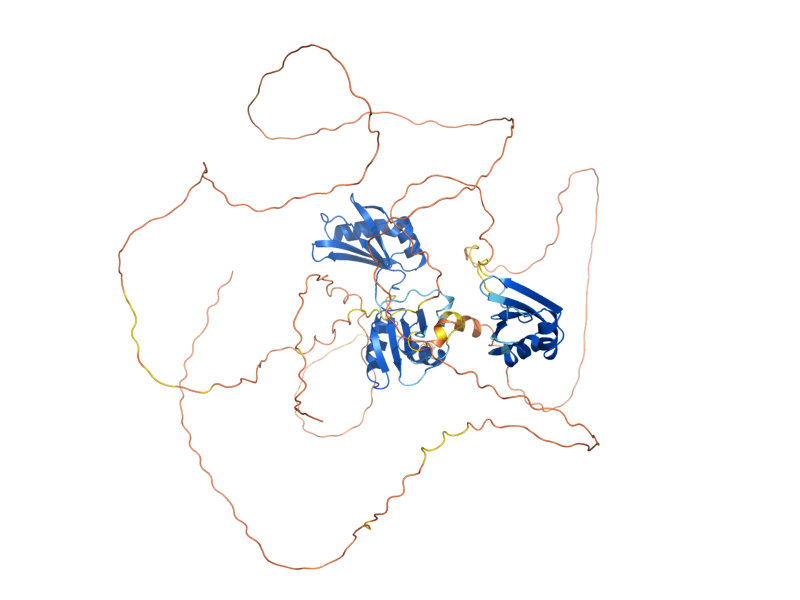 AlphaFold predicted structure of RIM4