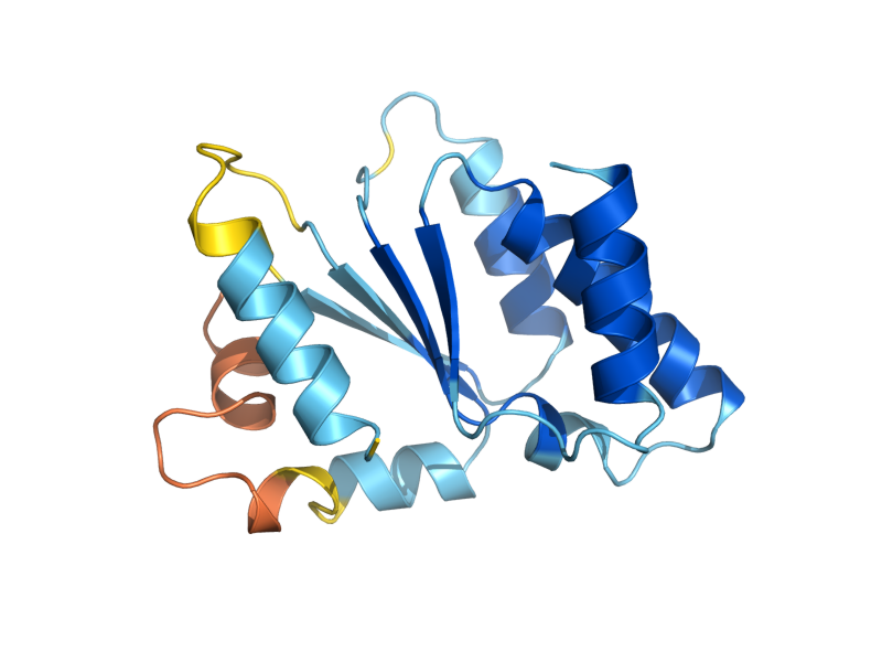 AlphaFold predicted structure of SHU1