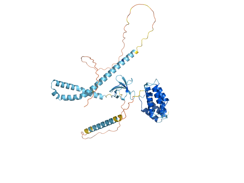 AlphaFold predicted structure of HSE1