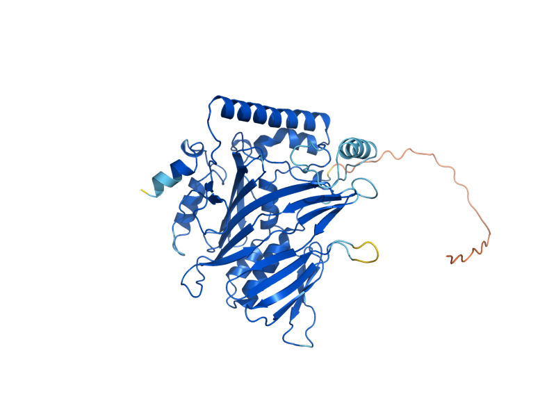 AlphaFold predicted structure of OSH7
