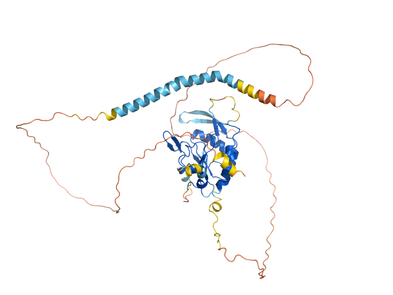 AlphaFold predicted structure of NEM1