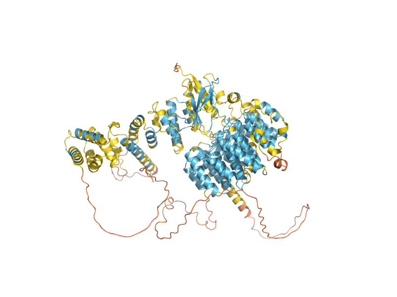 AlphaFold predicted structure of RPN1