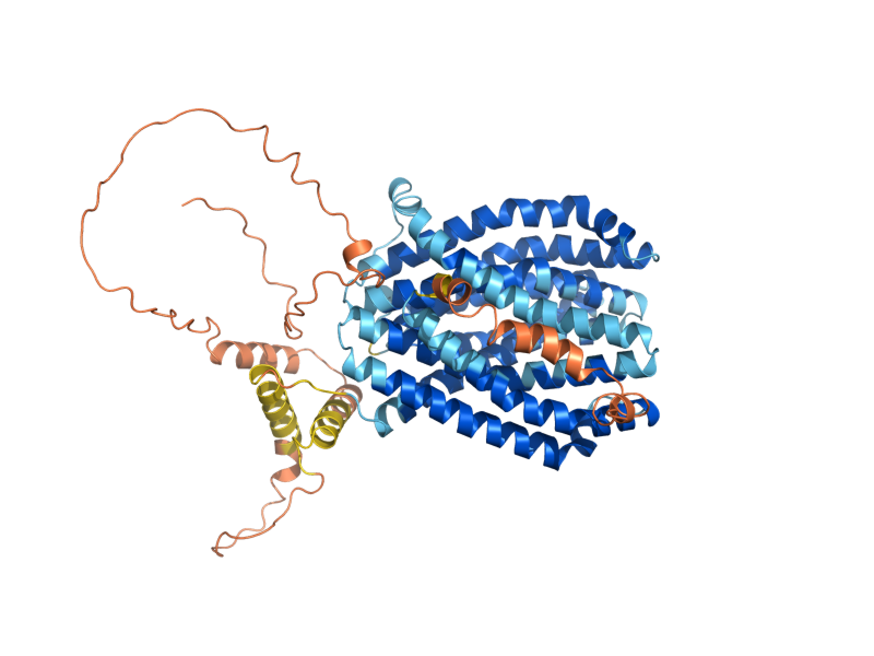 AlphaFold predicted structure of ERC1