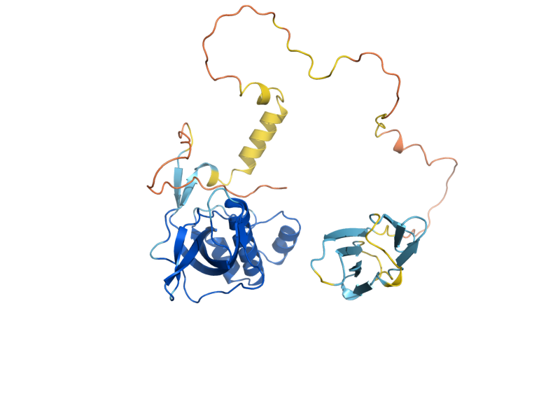 AlphaFold predicted structure of PIH1