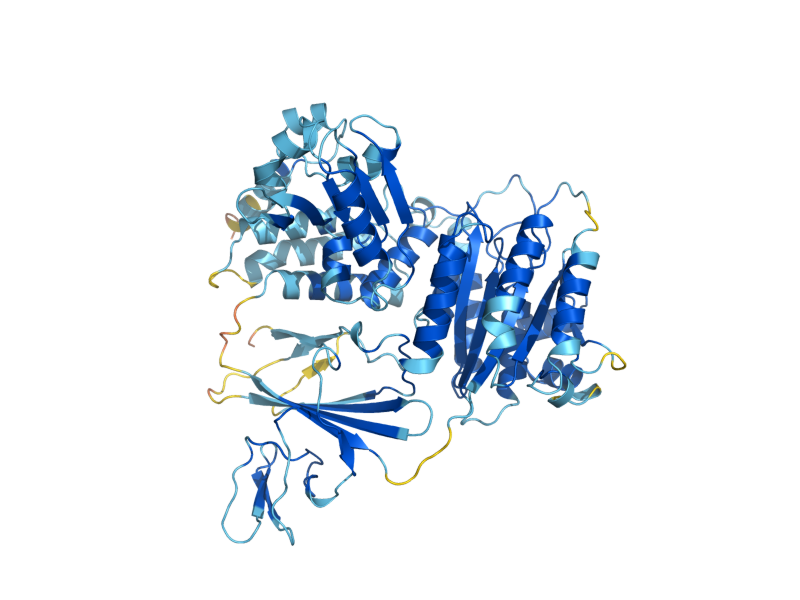 AlphaFold predicted structure of NEL1