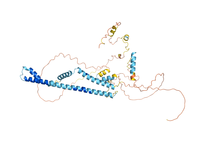 AlphaFold predicted structure of BRL1