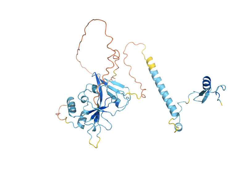 AlphaFold predicted structure of BCD1