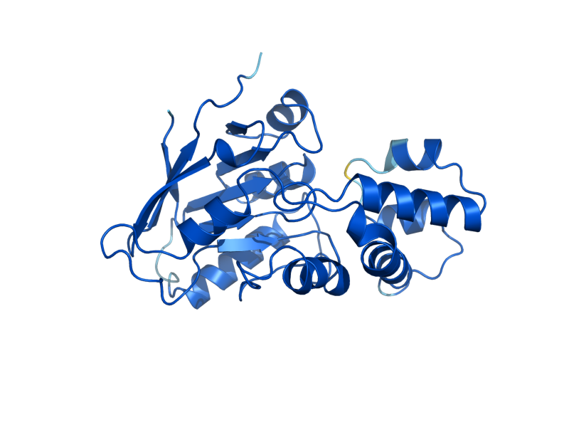AlphaFold predicted structure of DOG2