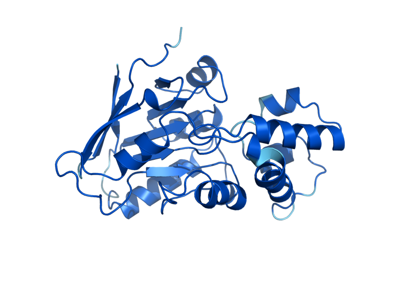 AlphaFold predicted structure of DOG1