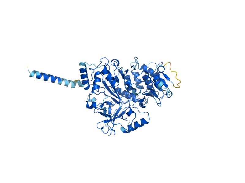 AlphaFold predicted structure of DDE1