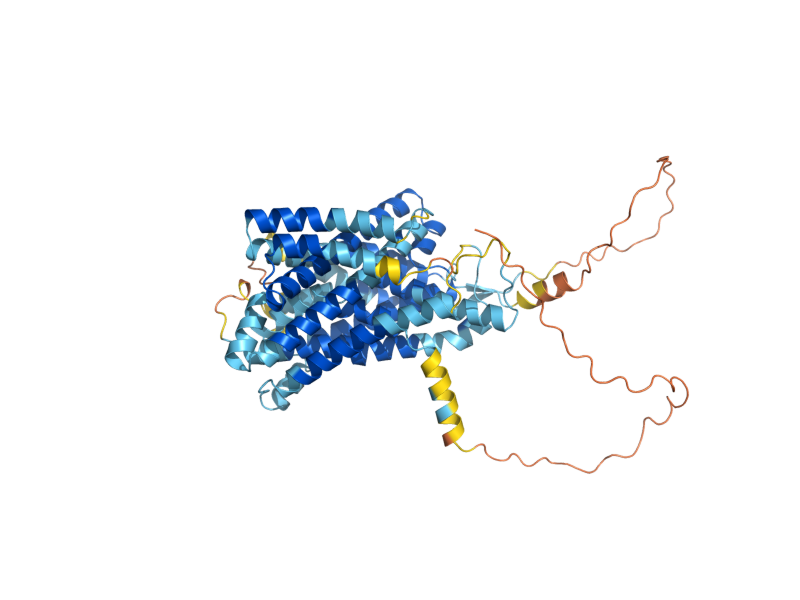 AlphaFold predicted structure of SMF2