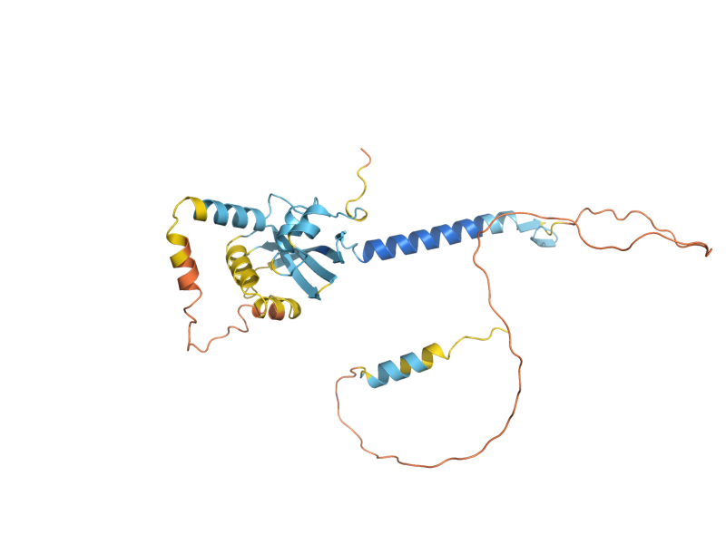 AlphaFold predicted structure of MED6