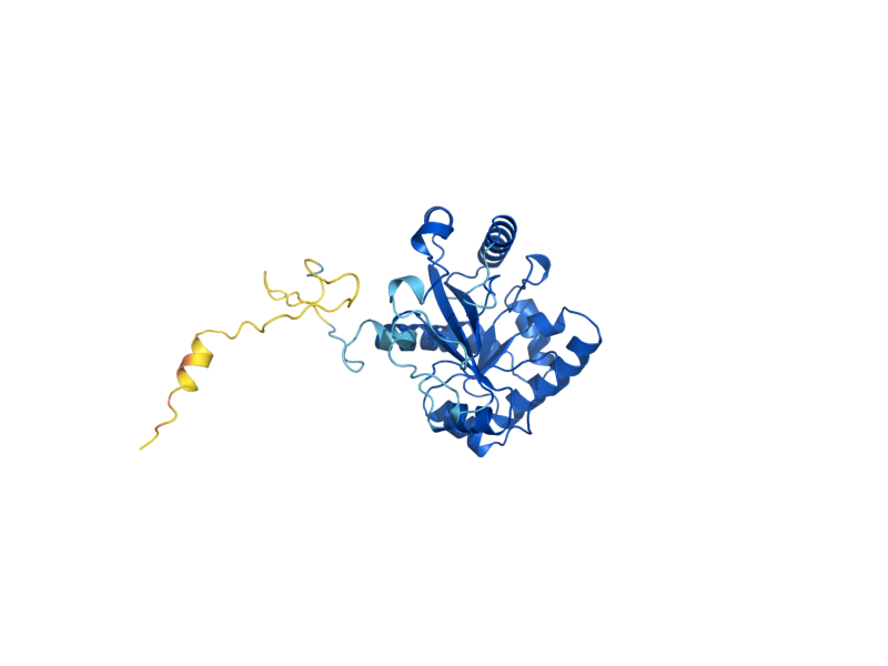 AlphaFold predicted structure of RPP1